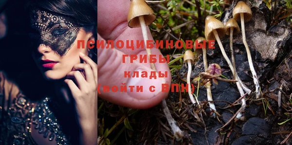 первитин Балахна