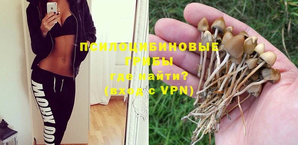 гашик Балабаново