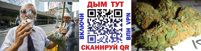 Бошки марихуана индика  гидра   Грязи  купить закладку 
